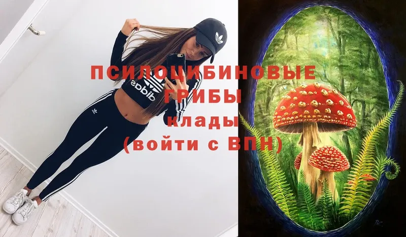 Галлюциногенные грибы GOLDEN TEACHER  omg ССЫЛКА  Димитровград  купить  сайты 